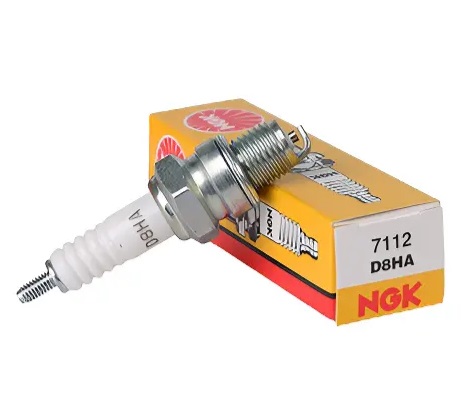 BUJIA NGK D8HA